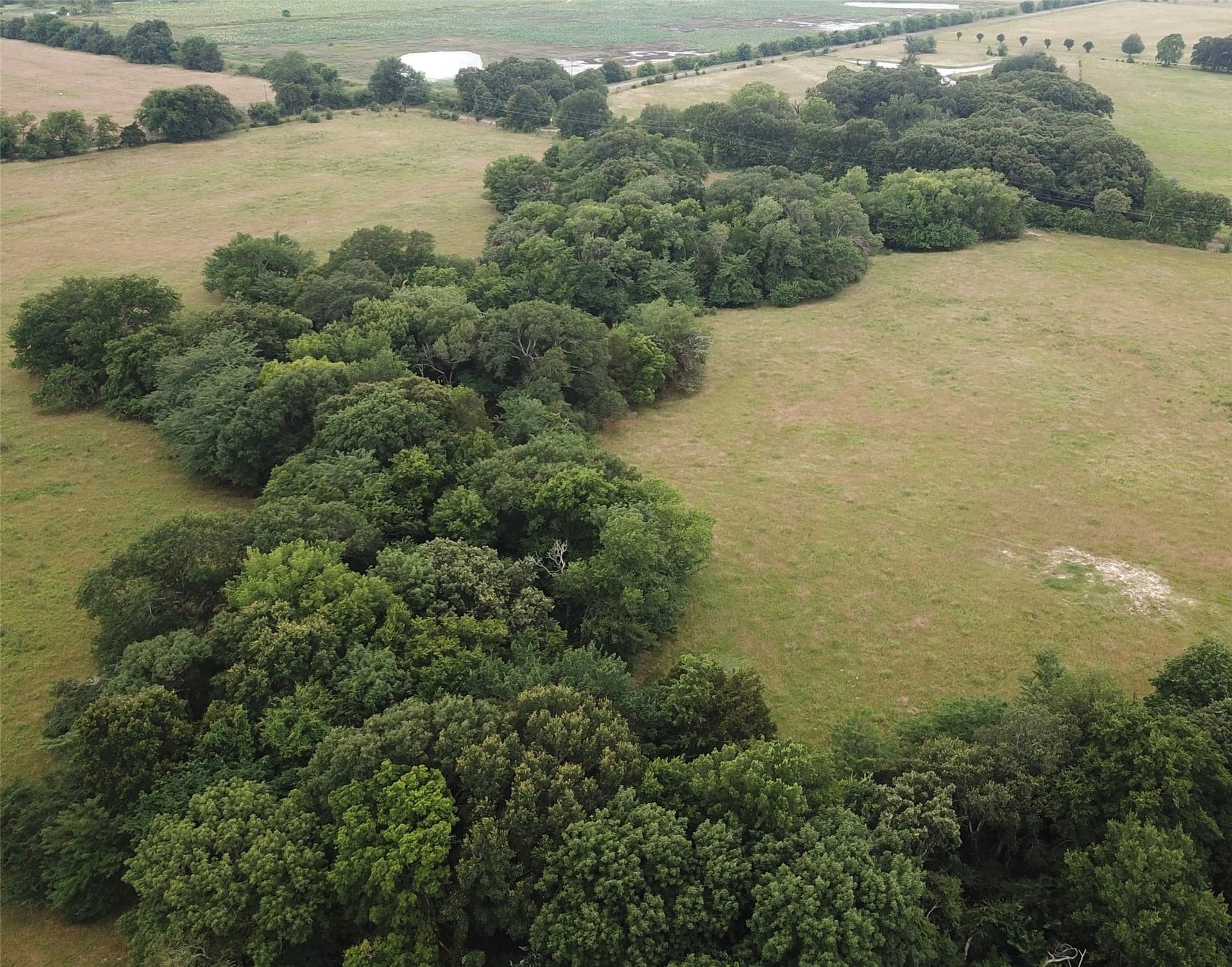 11 acres in Fannin County