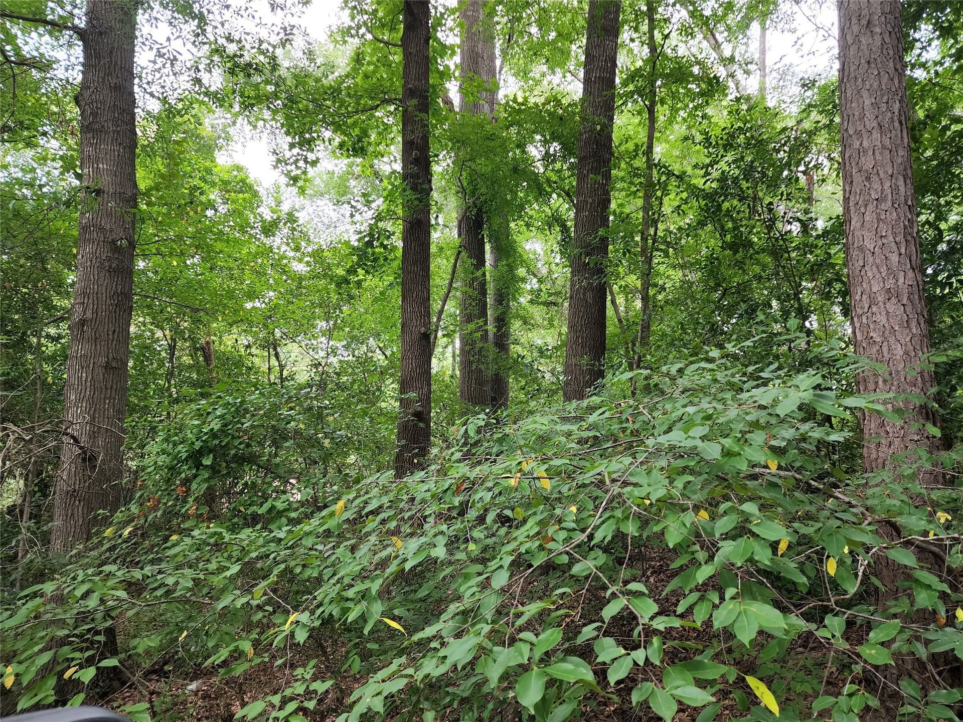 0.24 acres in Wood County