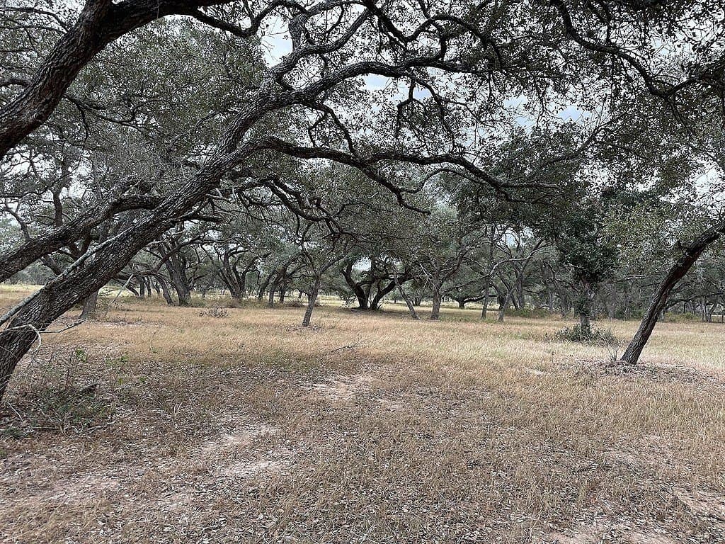 10 acres in Colorado County