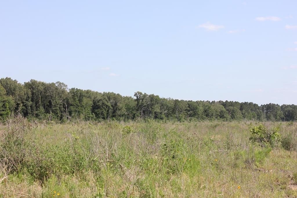 20 acres in Texas County