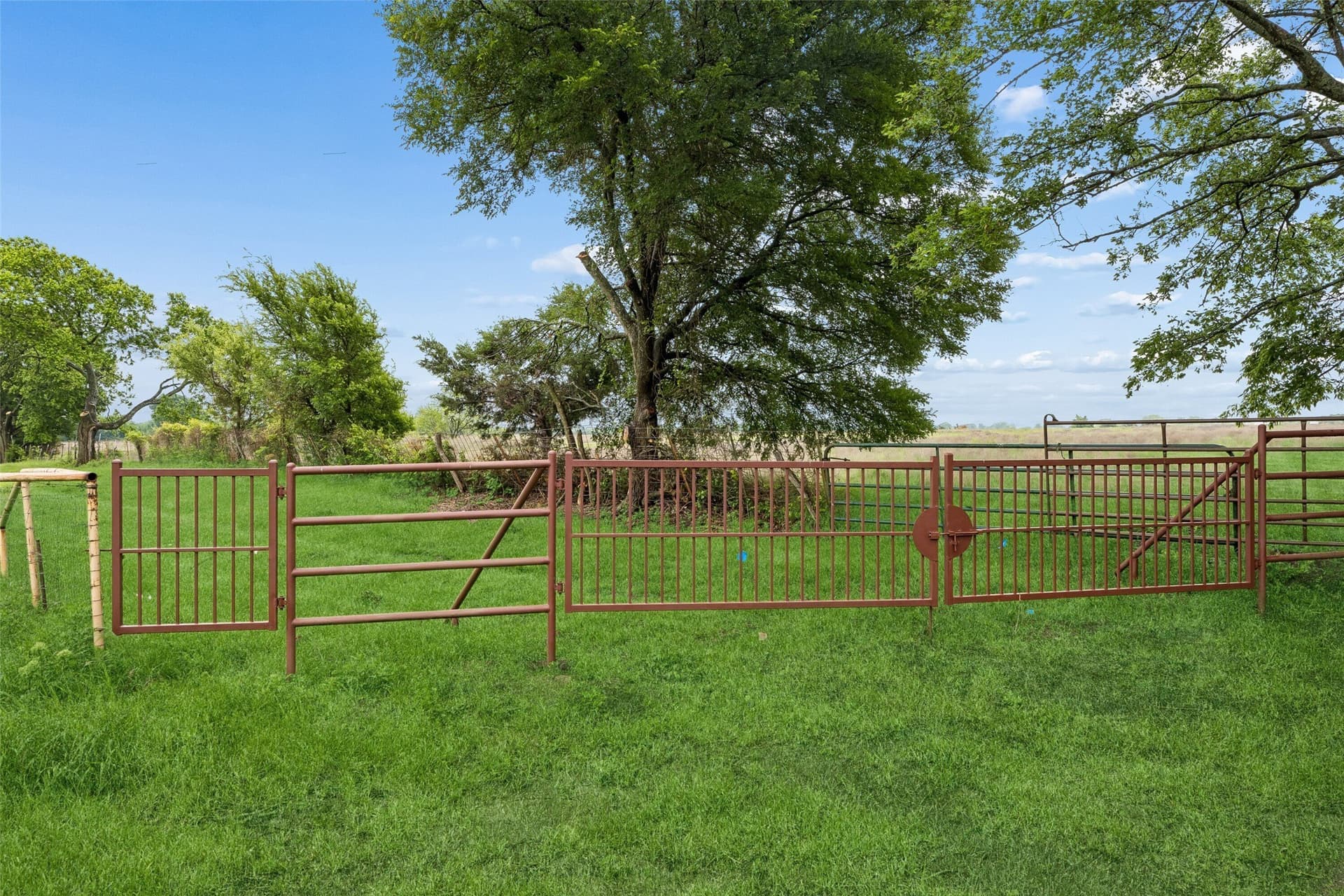 8.6 acres in Fannin County