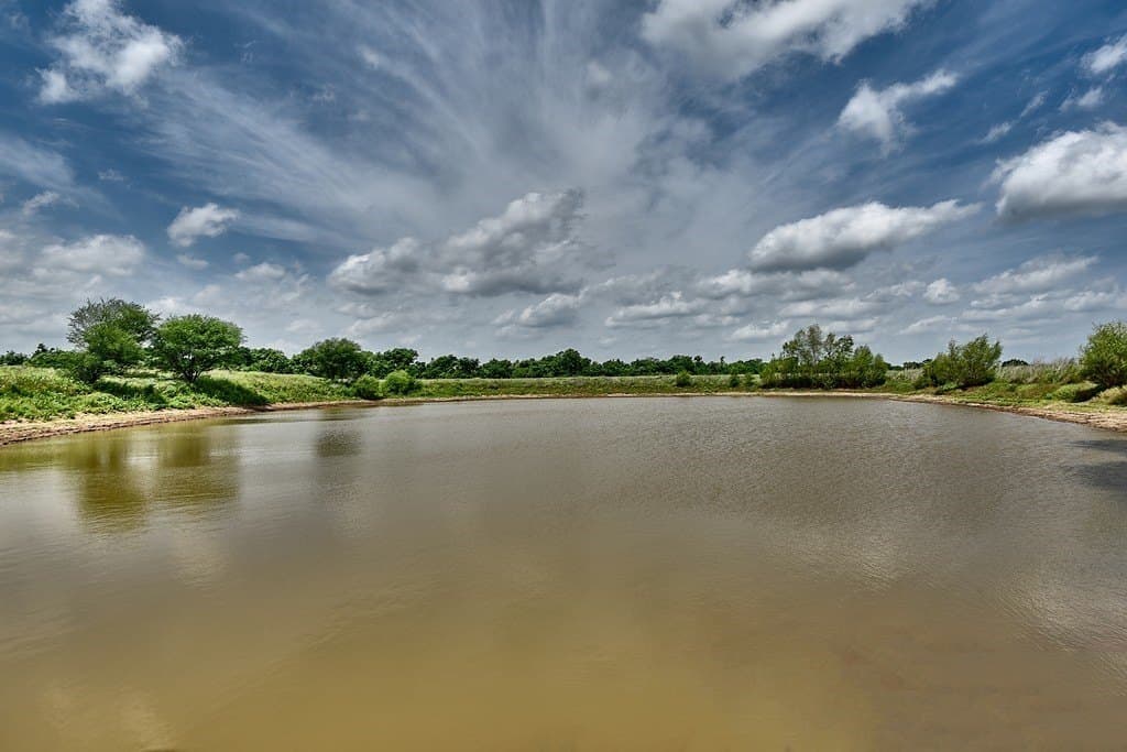 38.56 acres in Grimes County