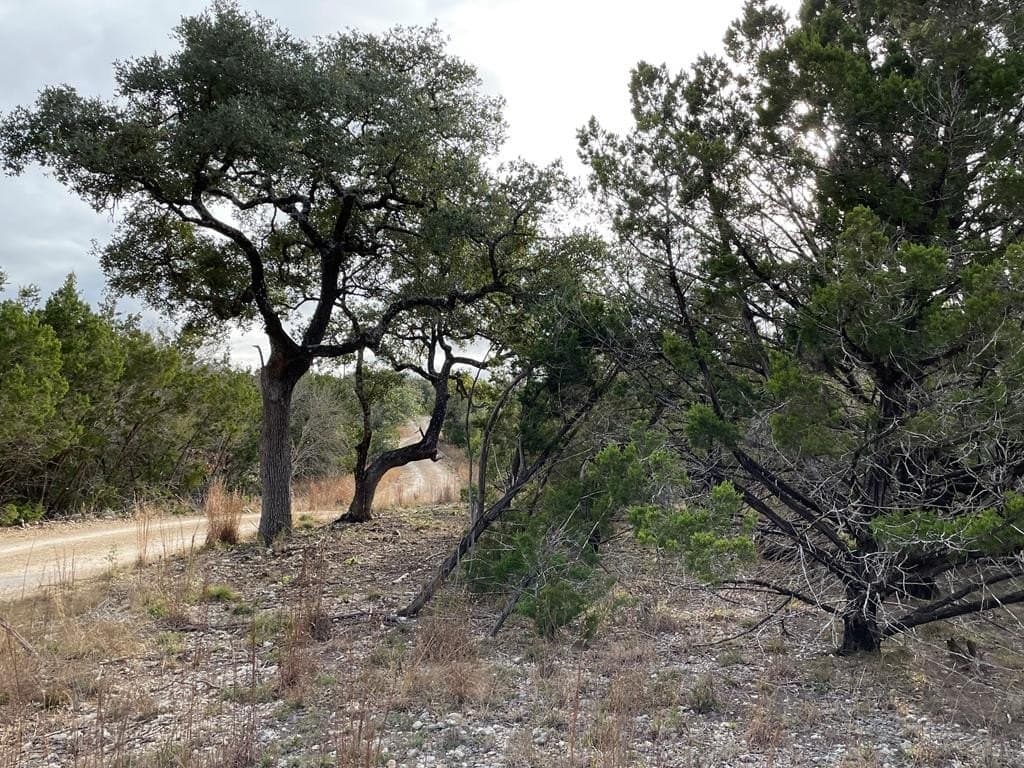 5.1 acres in Blanco County