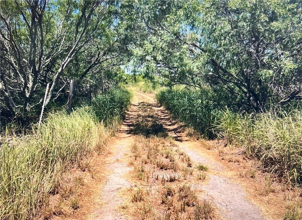 9 acres in Nueces County