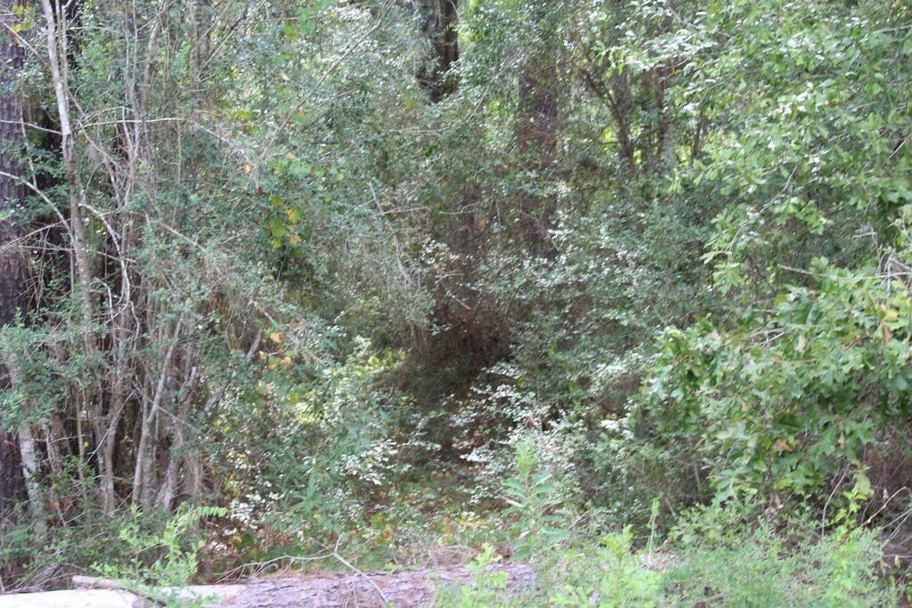 3.7 acres in Texas County