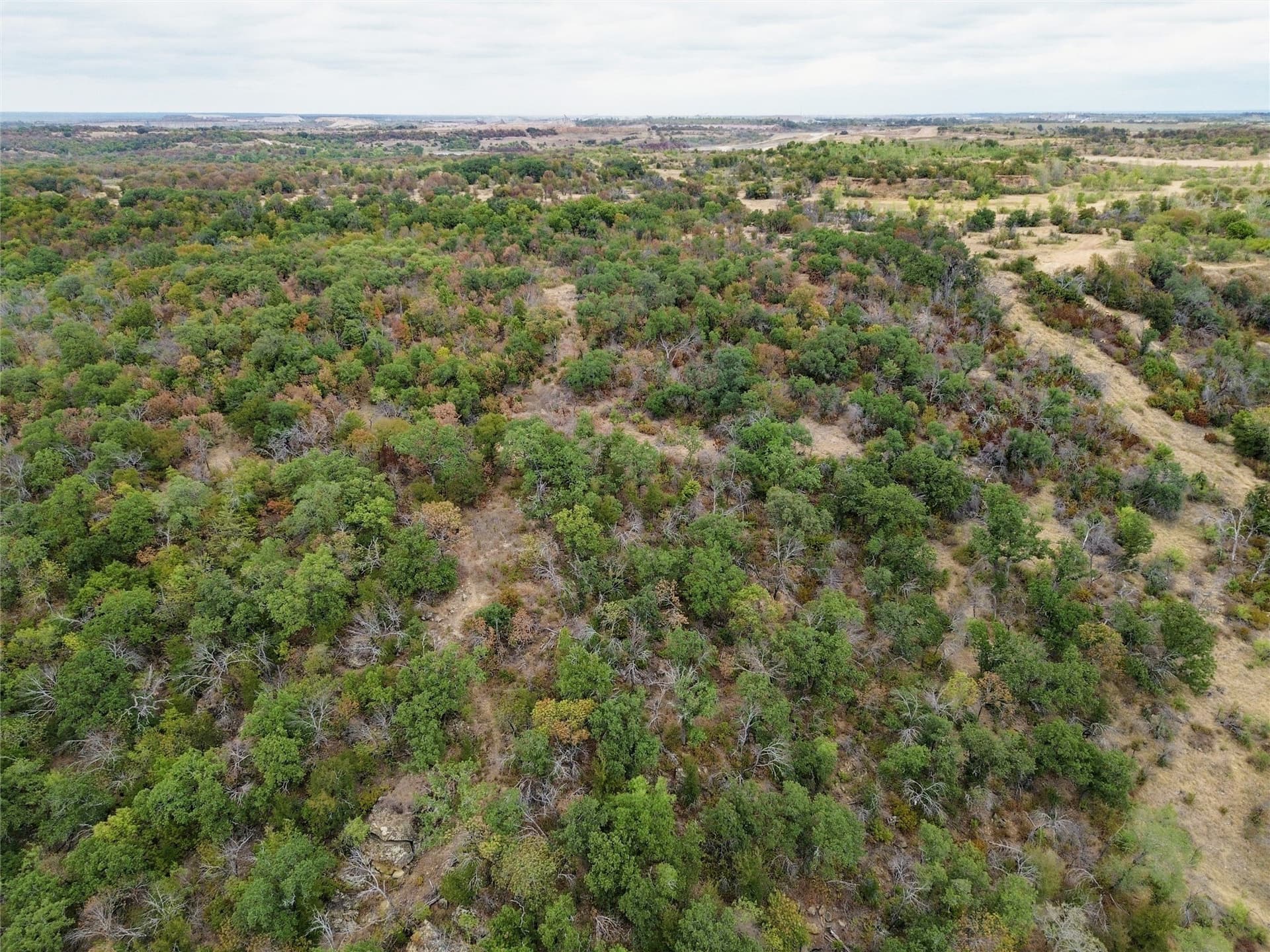 176.57 acres in Wise County