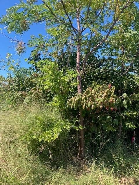 1 acres in Texas County