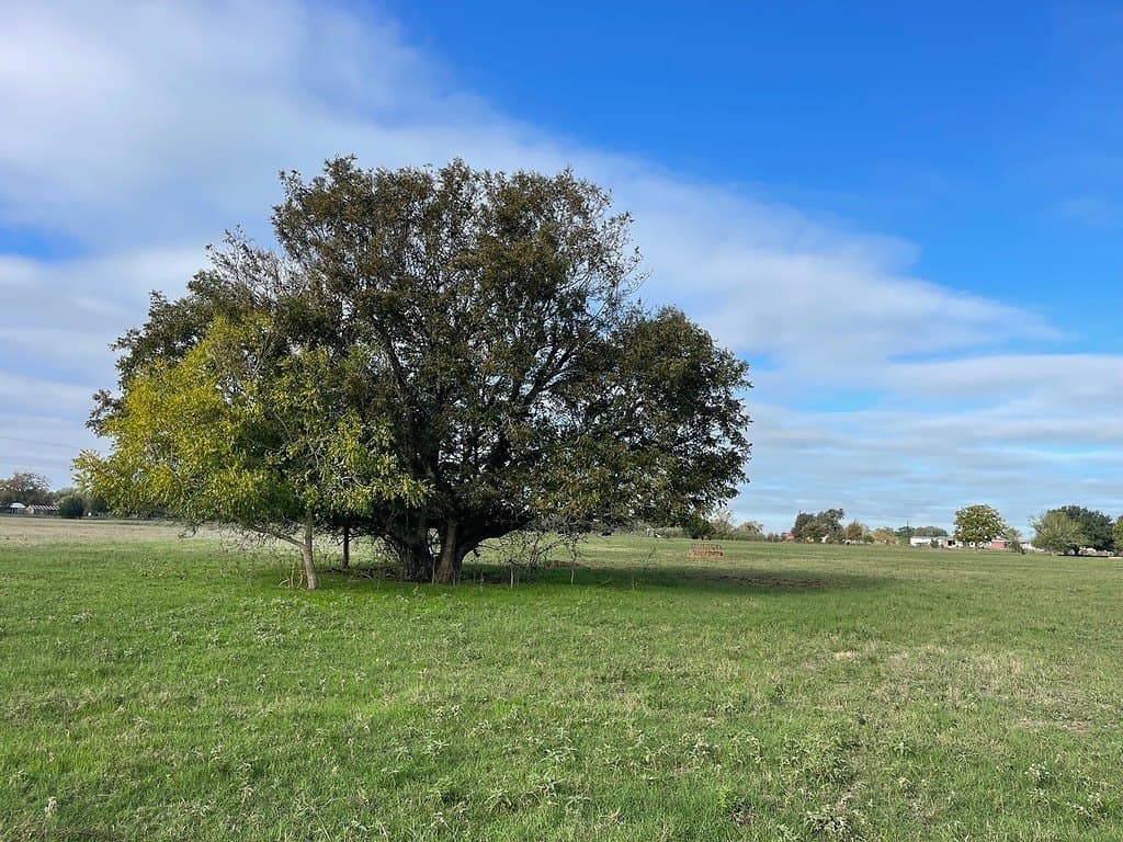 10.82 acres in Fayette County