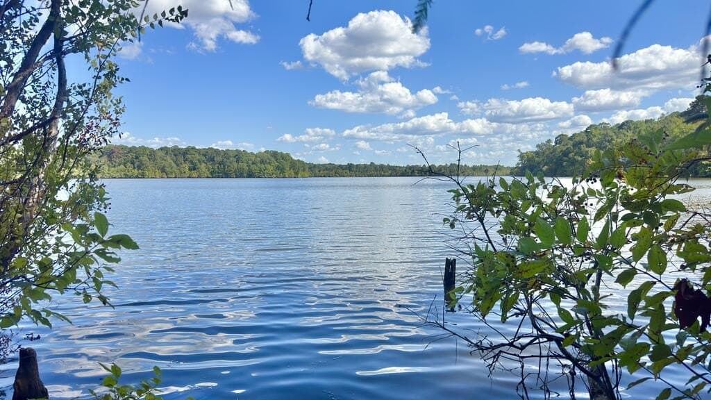20.4 acres in Texas County