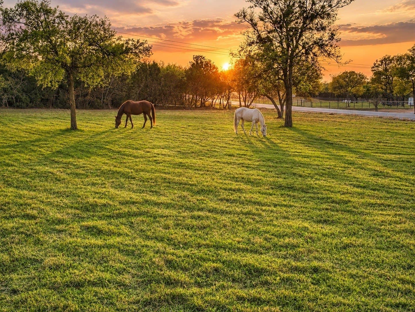 3.56 acres in Parker County