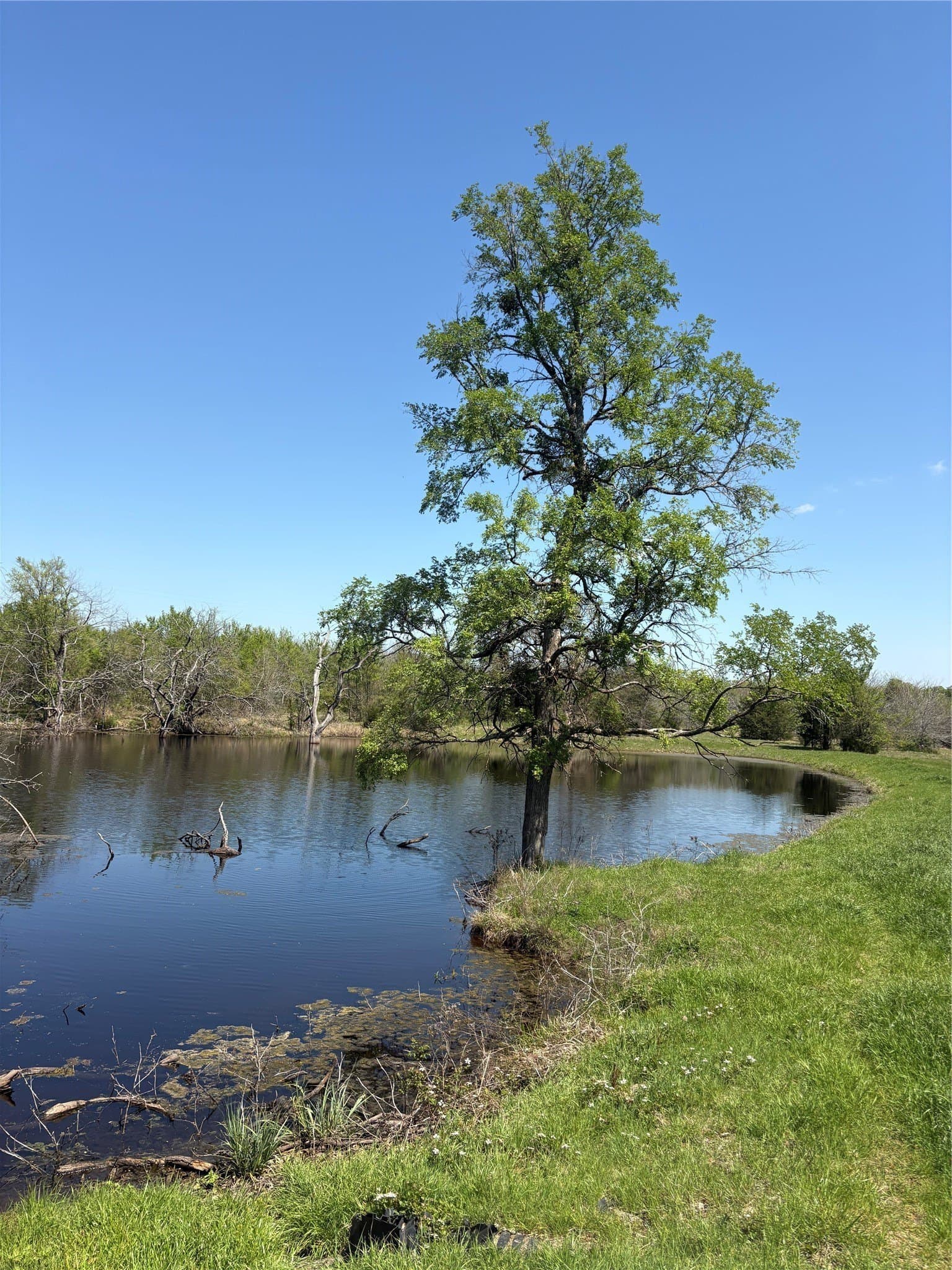 70 acres in Hopkins County