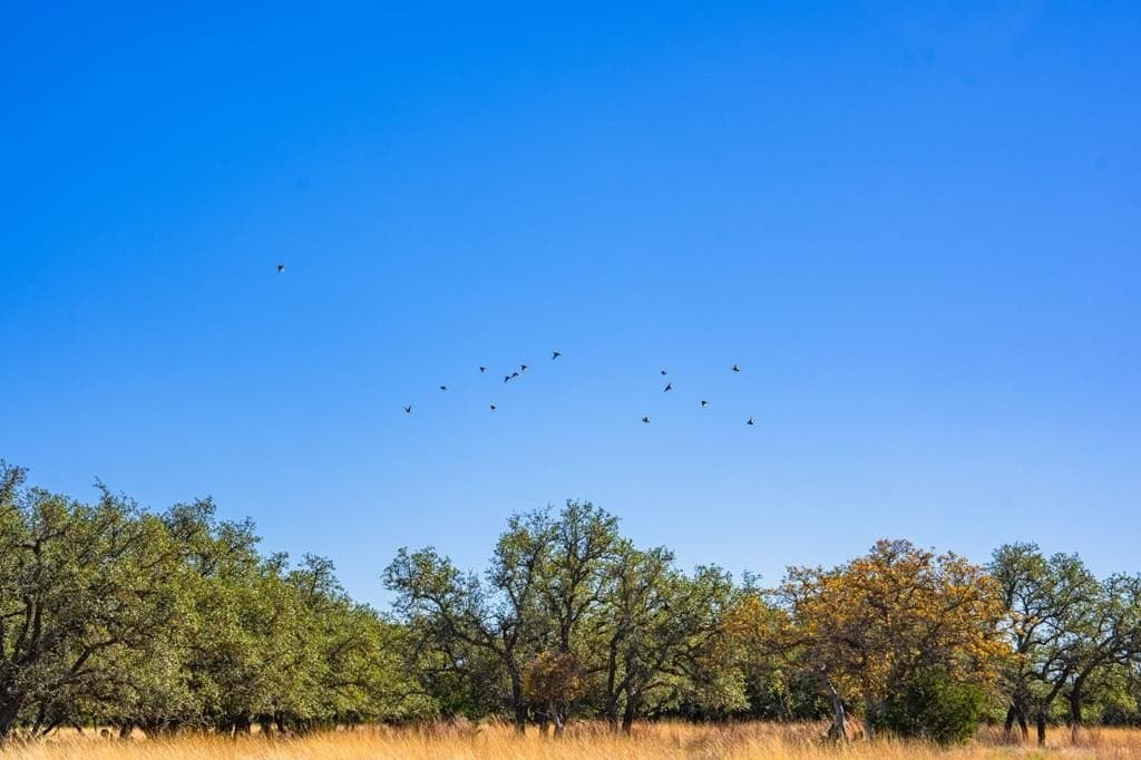 34.7 acres in Kimble County