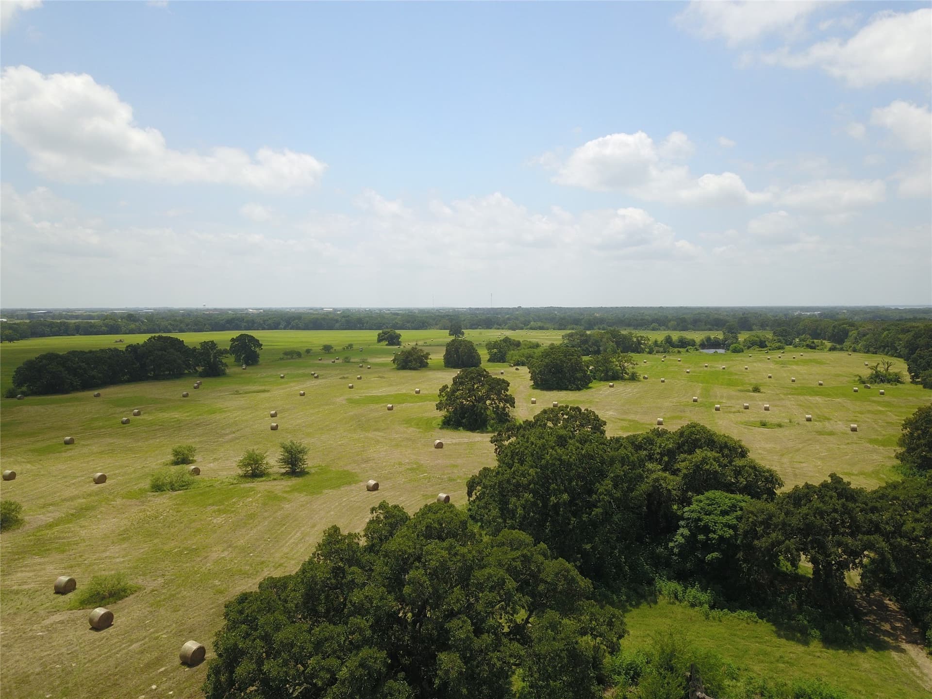 43.29 acres in Henderson County