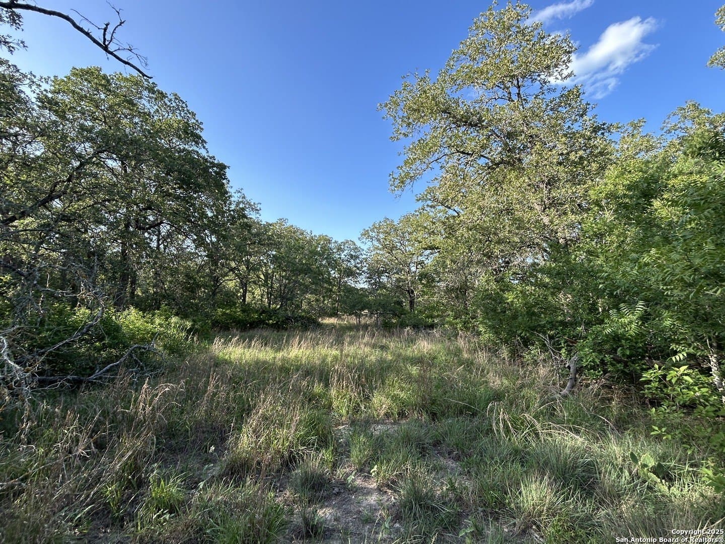 5.99 acres in Wilson County