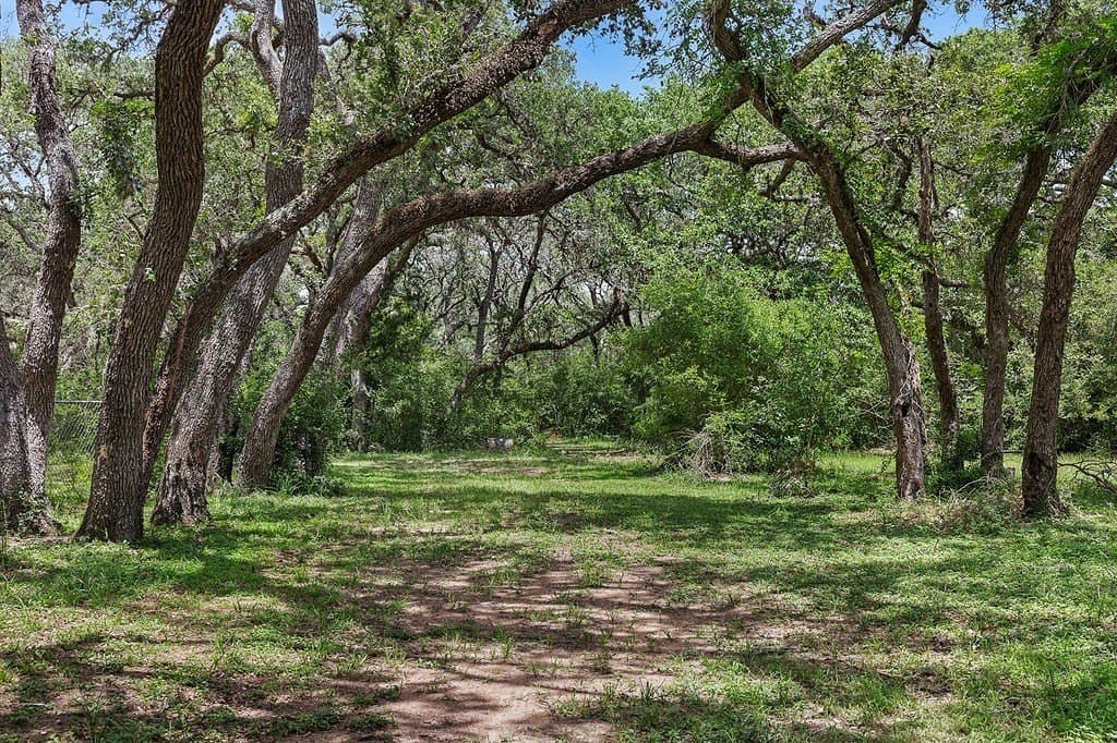113 acres in Colorado County