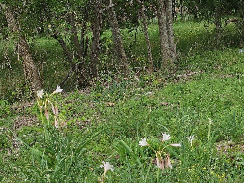 2.1 acres in Washington County