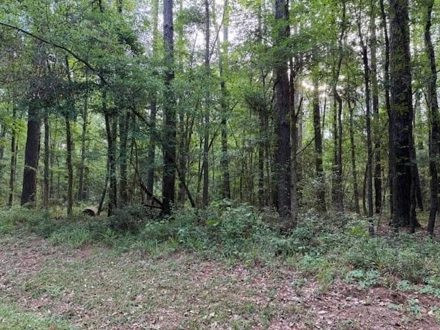0.26 acres in Texas County