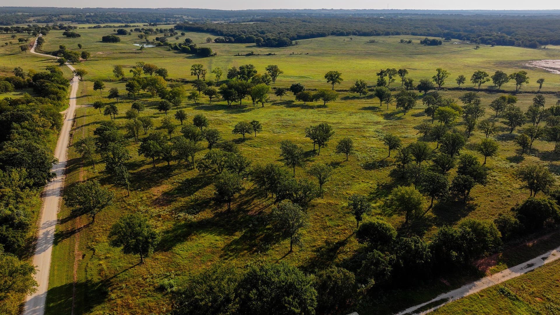 421.38 acres in Montague County