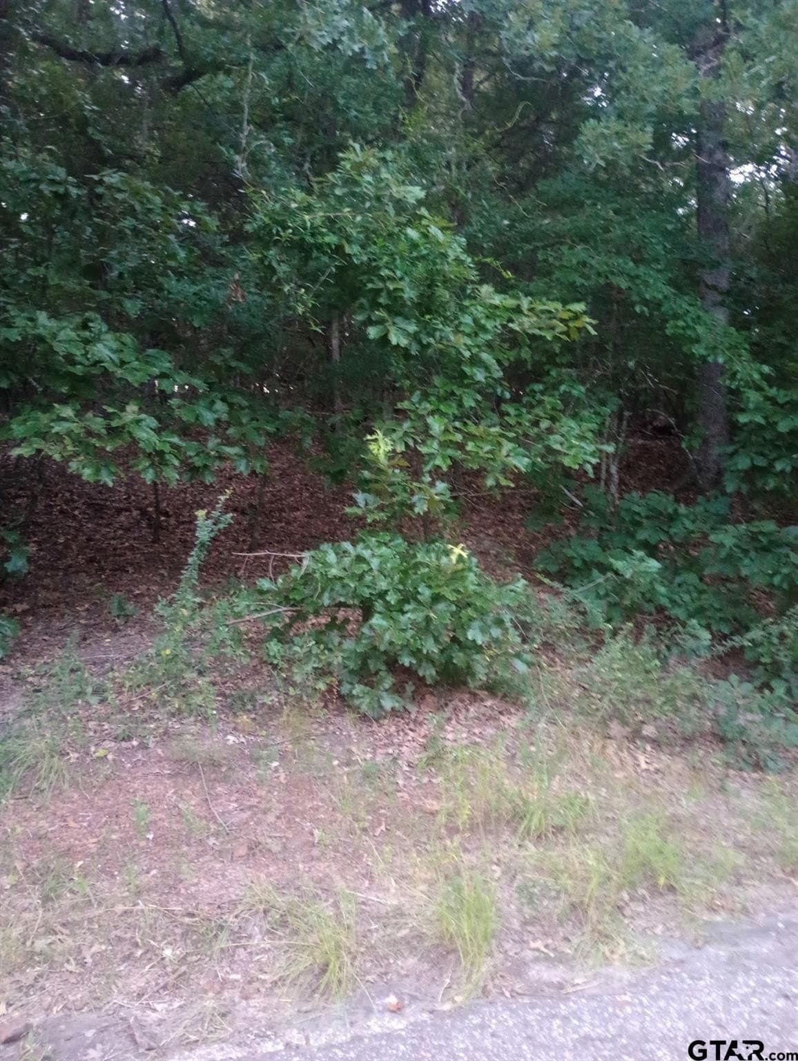 0.21 acres in Van Zandt County