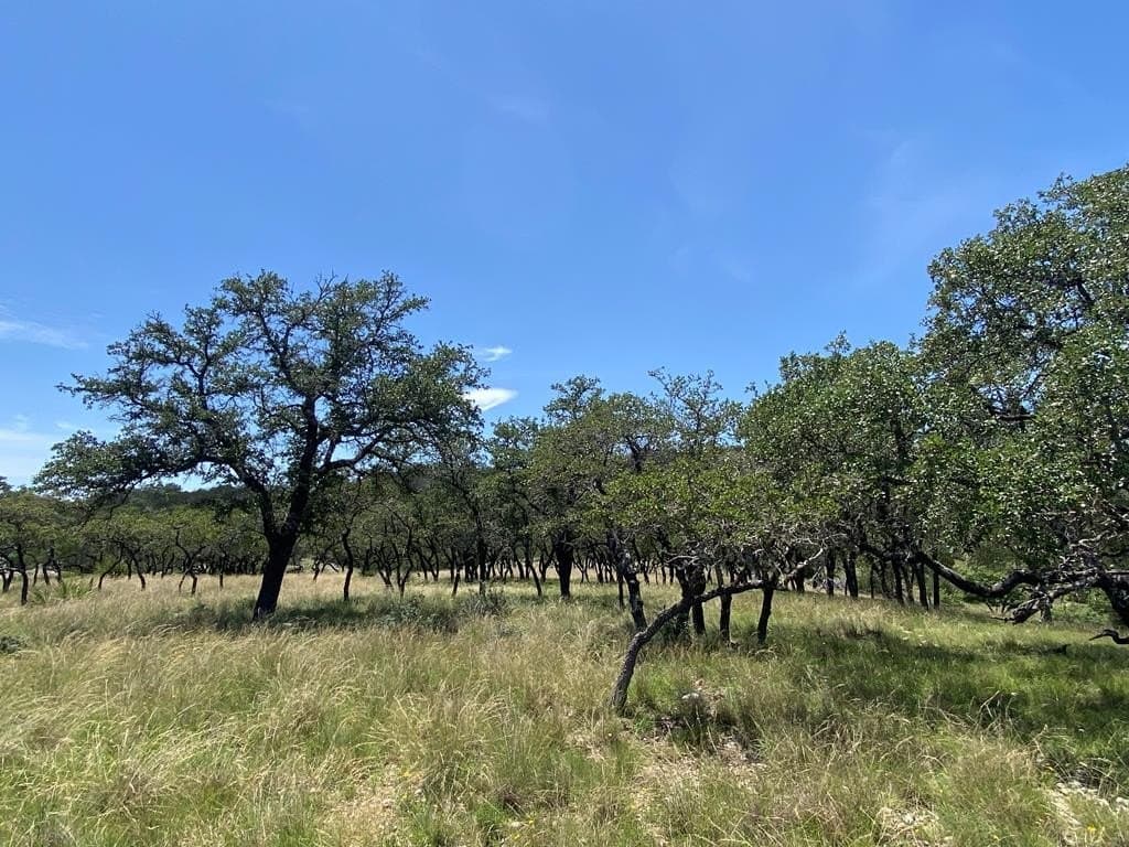 10.88 acres in Kendall County