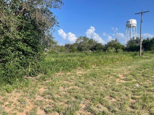 0.32 acres in Jim Hogg County