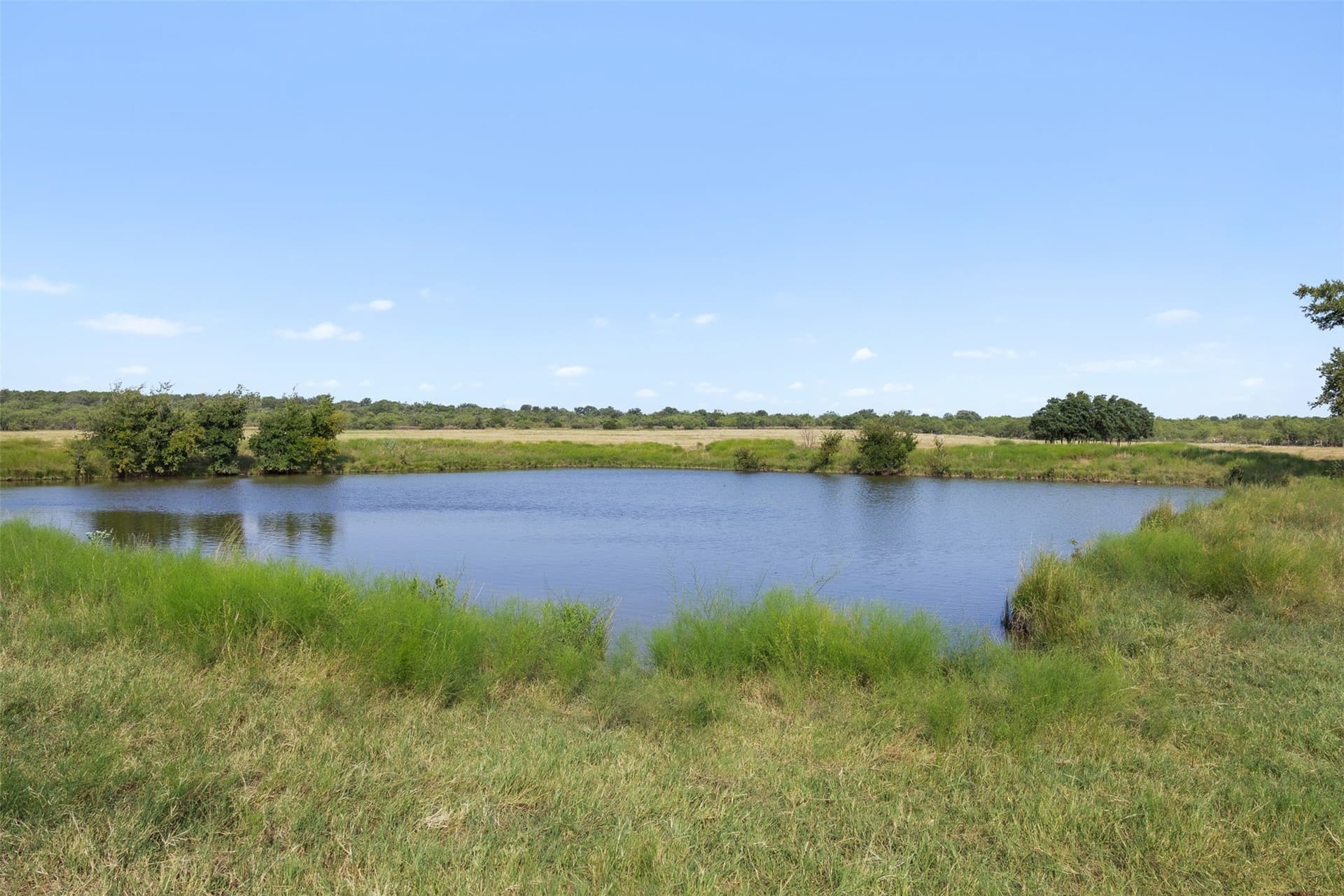 80.85 acres in Coleman County
