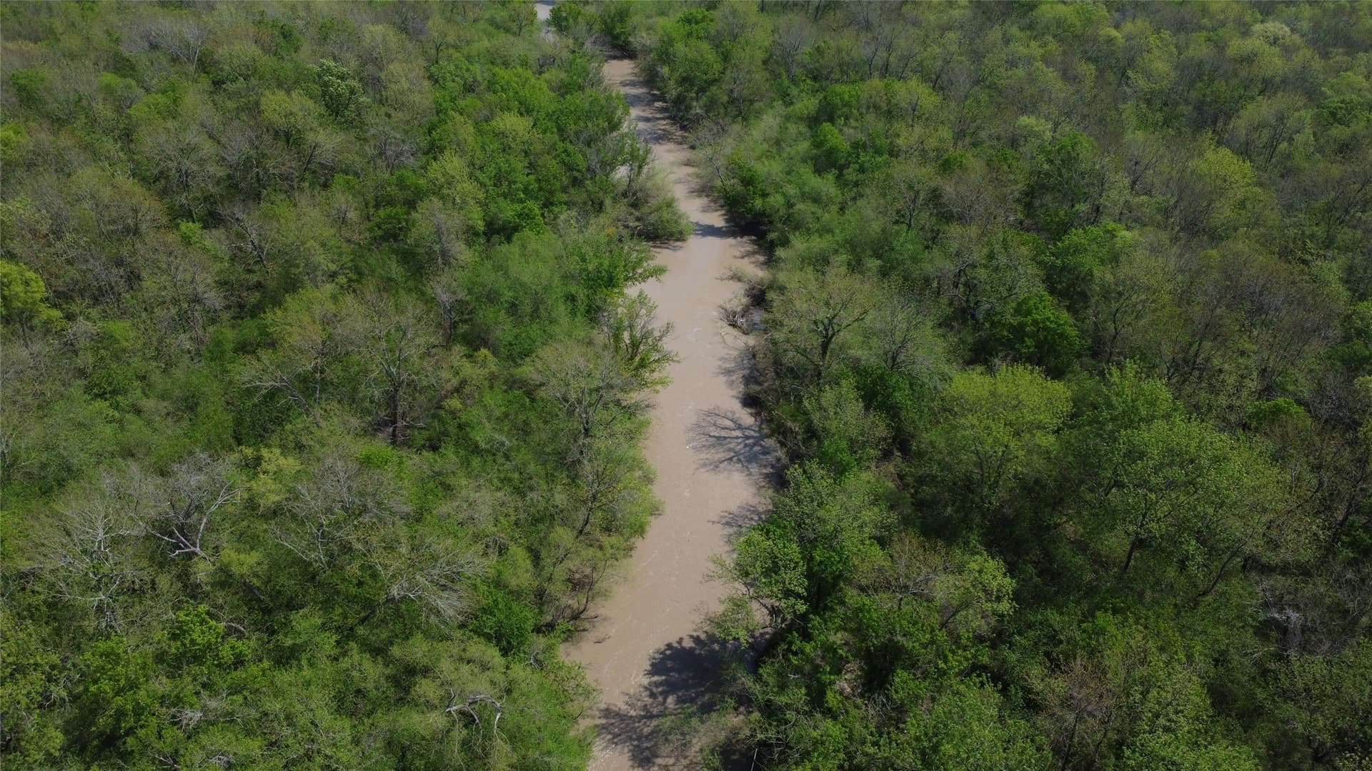 115.99 acres in Franklin (TX) County