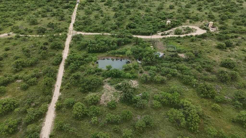 82 acres in Schleicher County