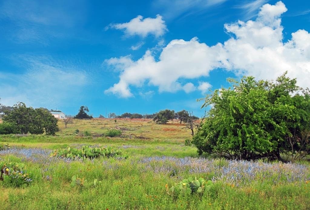 26.01 acres in Gillespie County