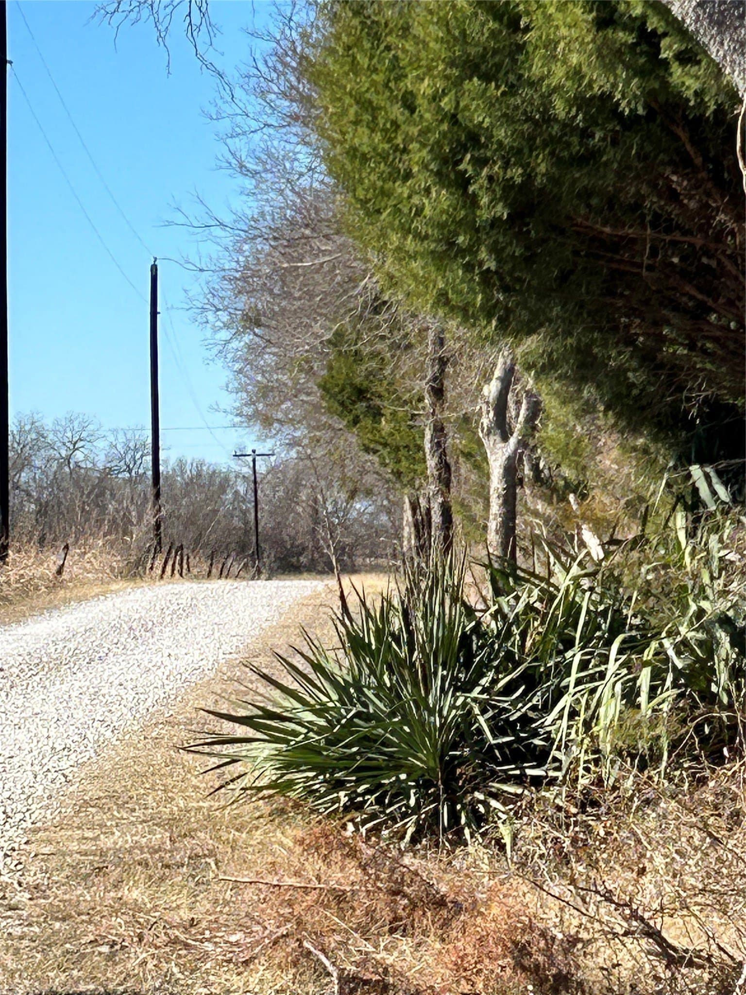 20.96 acres in Grayson County