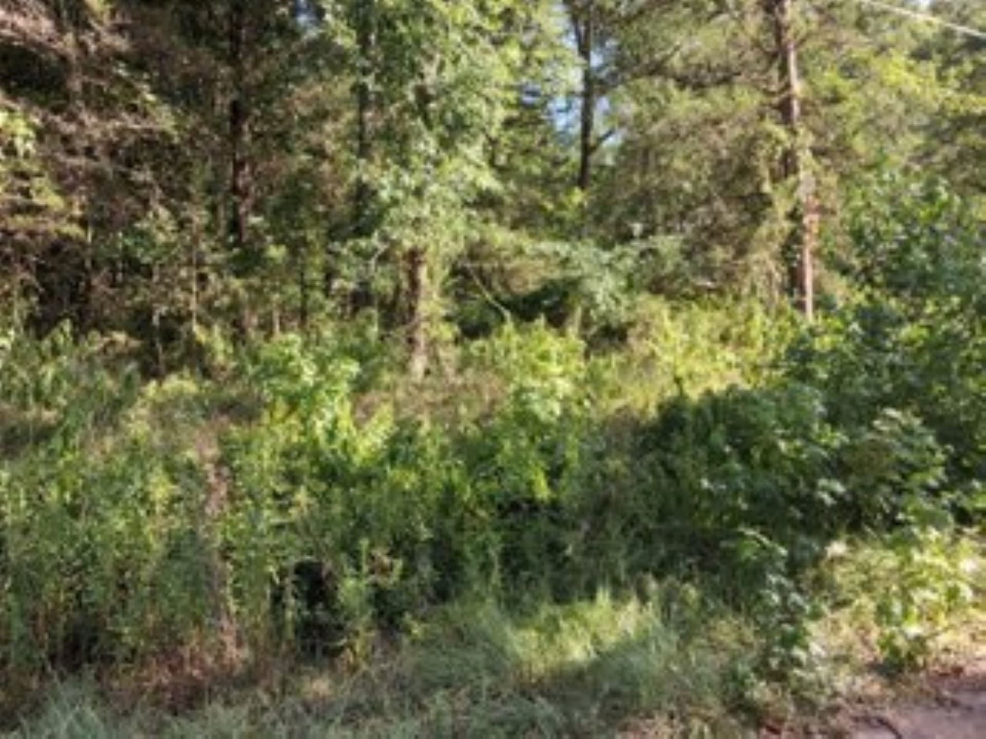 0.24 acres in Van Zandt County
