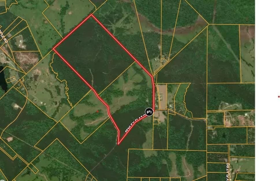 259.23 acres in Texas County