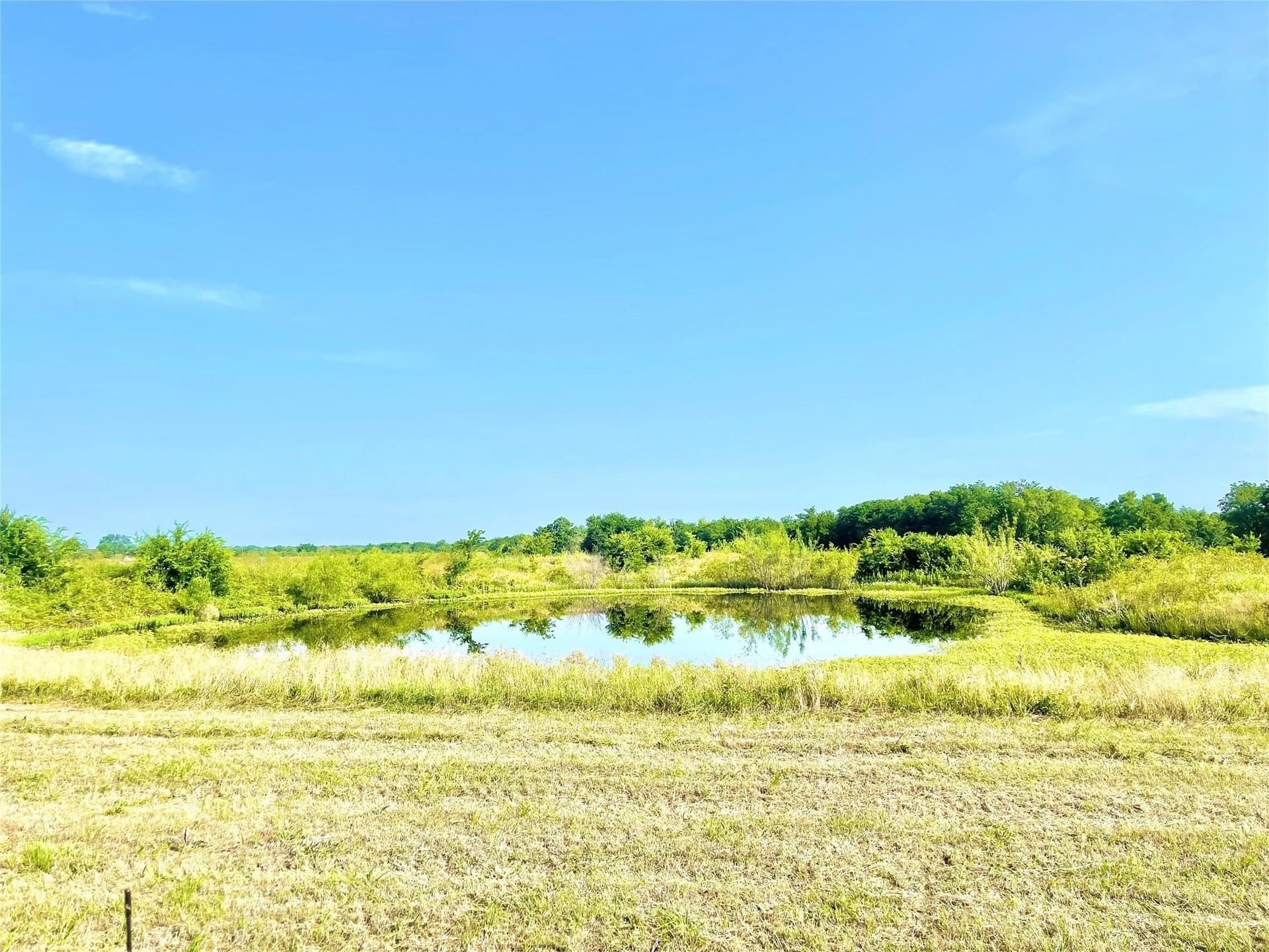 26 acres in Limestone County