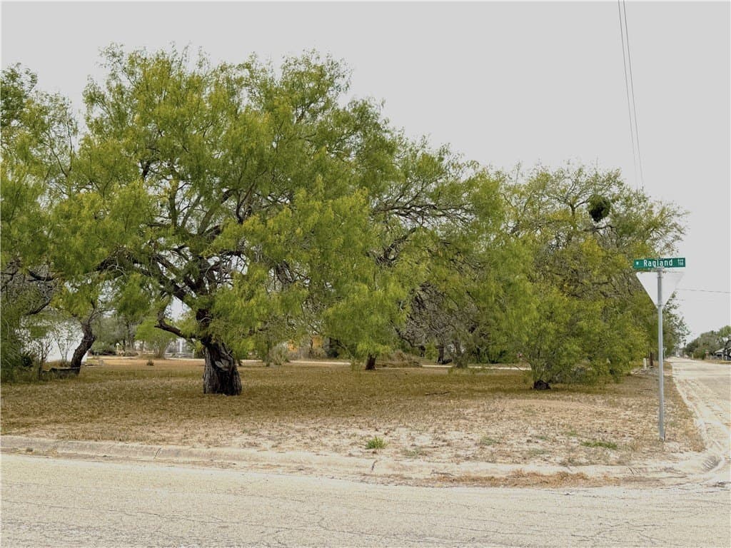 0.16 acres in Kleberg County