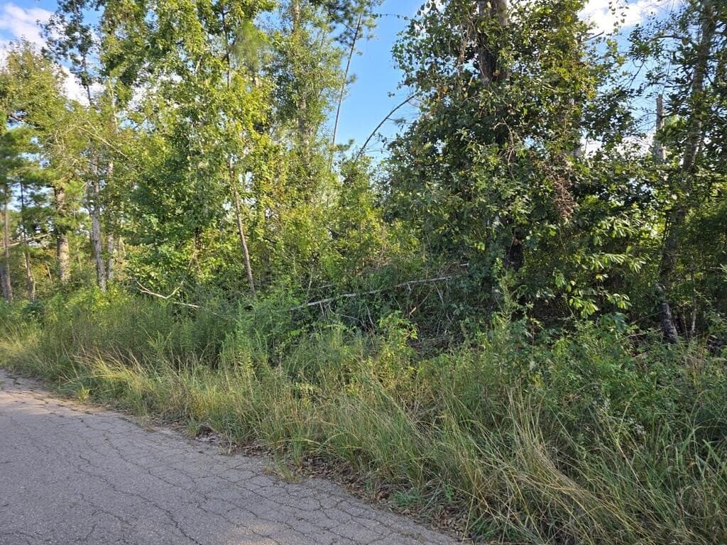 0.81 acres in Texas County