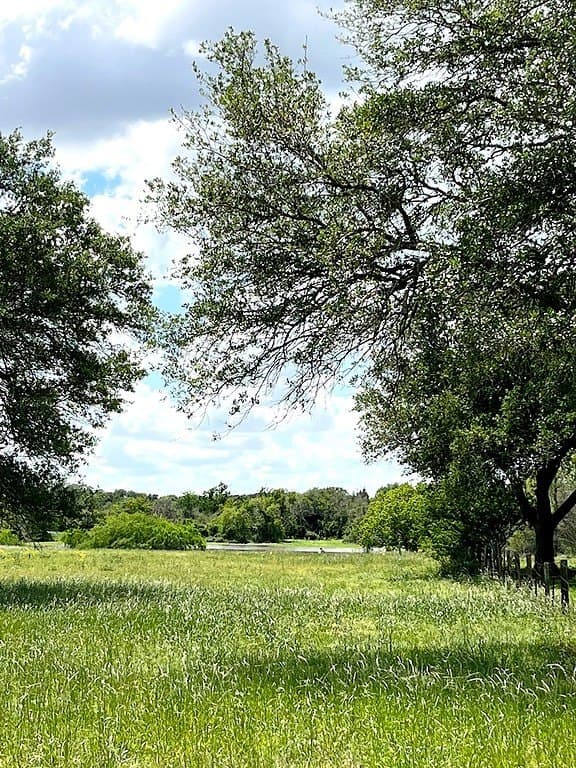 14.24 acres in Colorado County