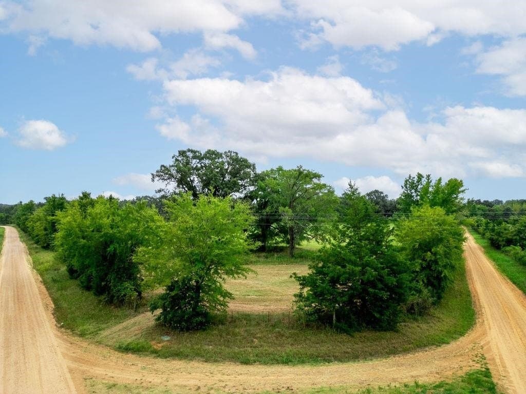 19.43 acres in Bowie County