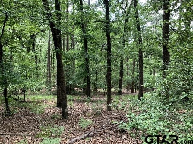 1.51 acres in Wood County