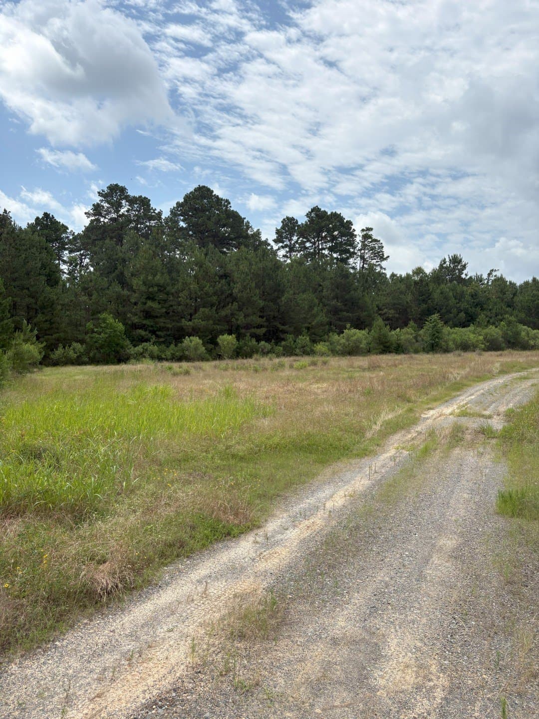 32.25 acres in Panola County
