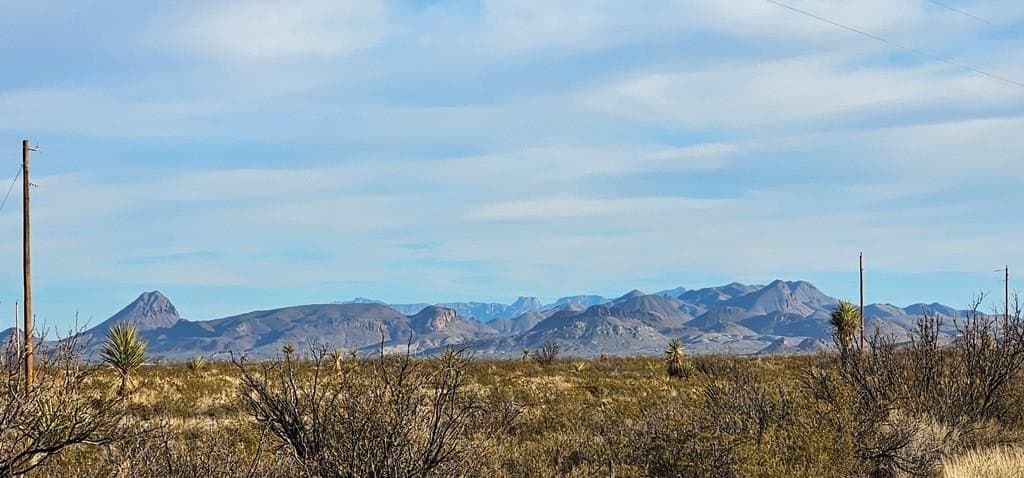 11.5 acres in Brewster County