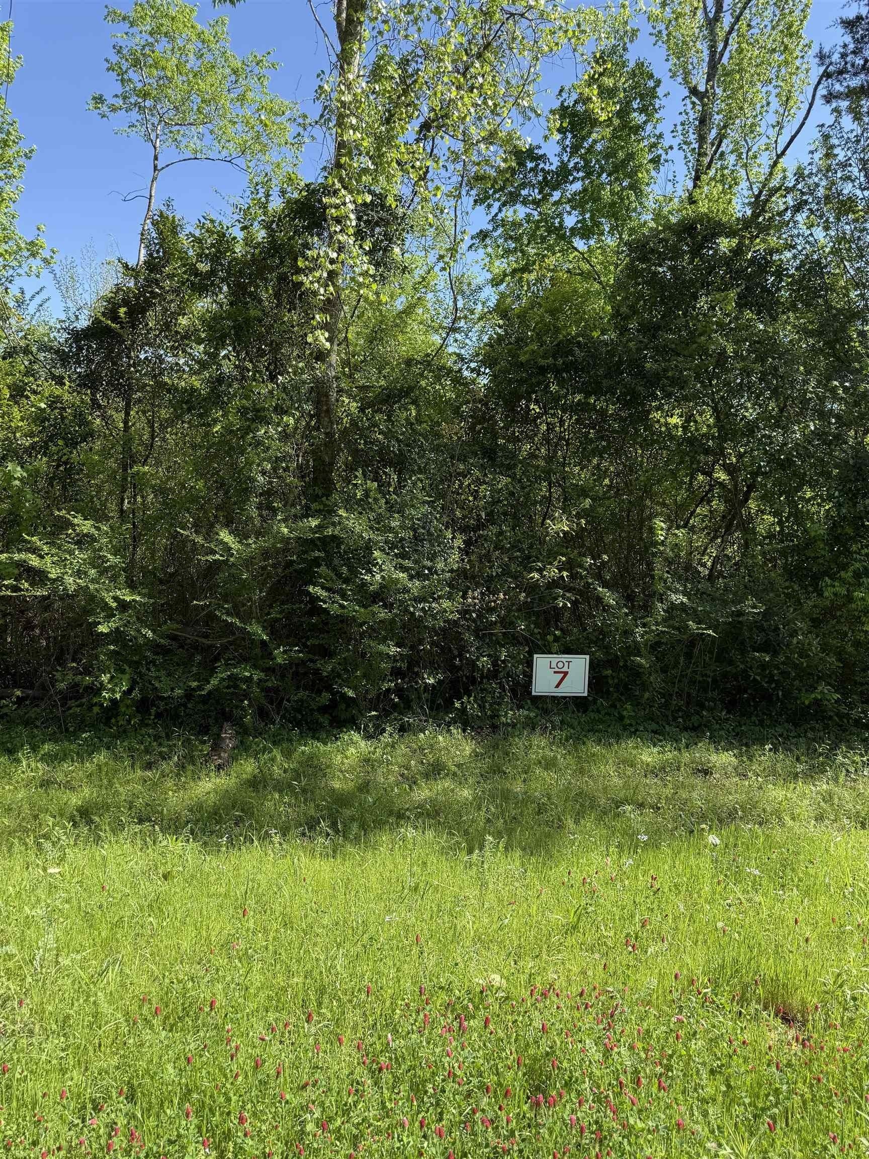 3 acres in Rusk County