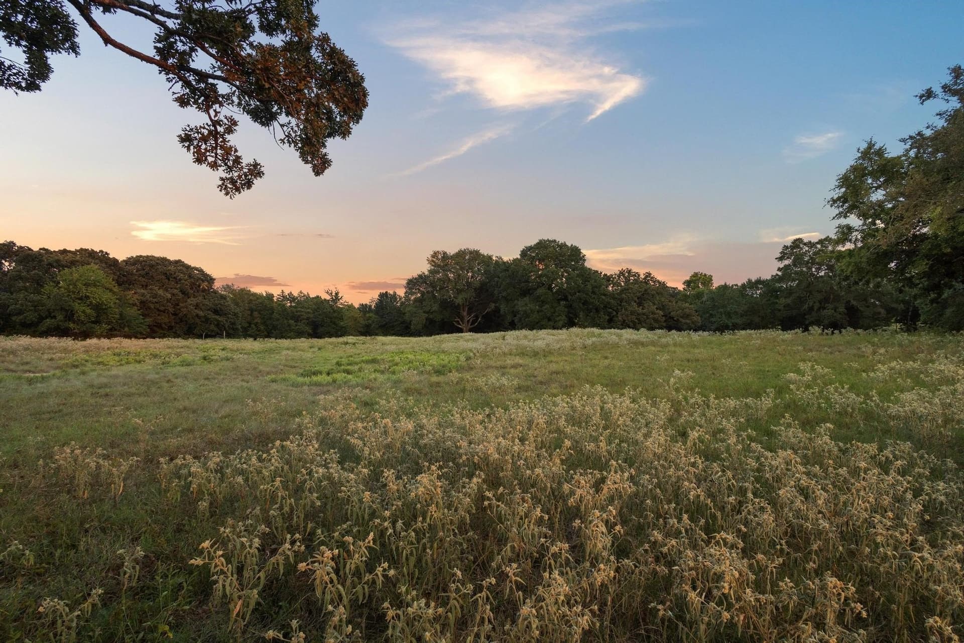 9.67 acres in Fannin County