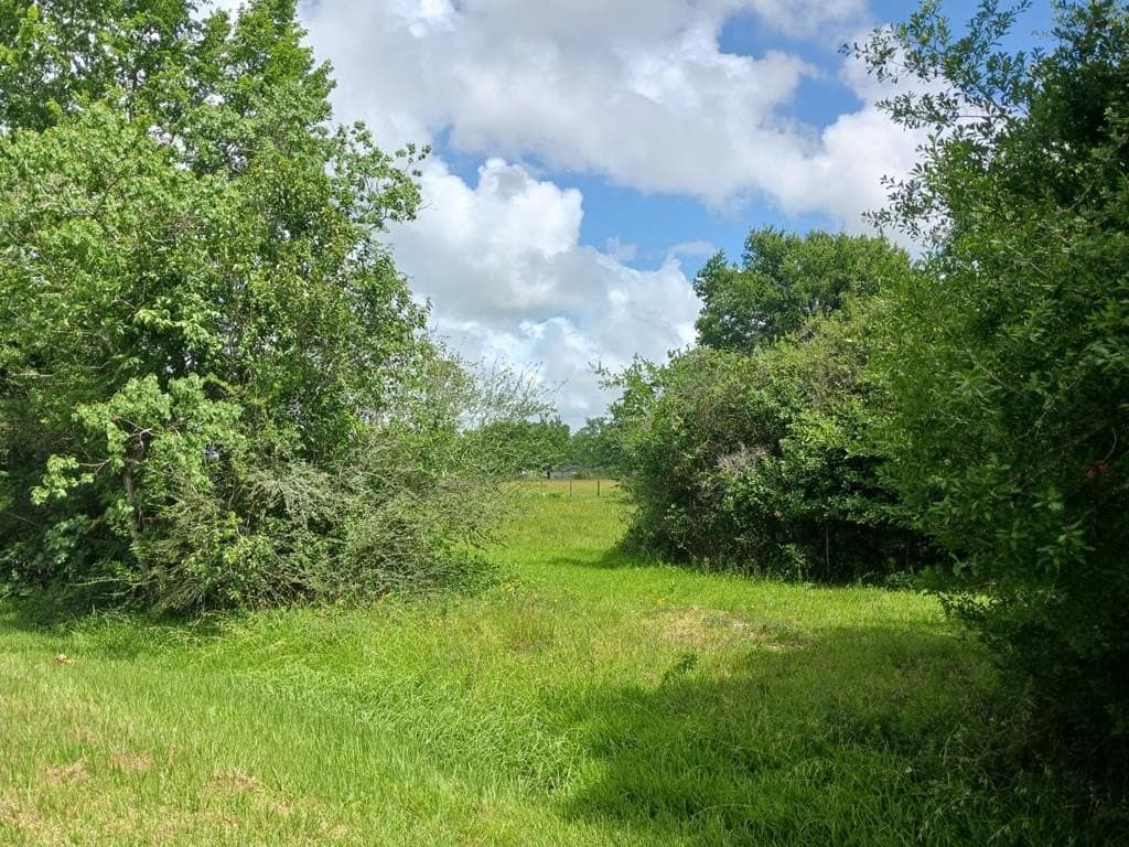 5.17 acres in Angleton County