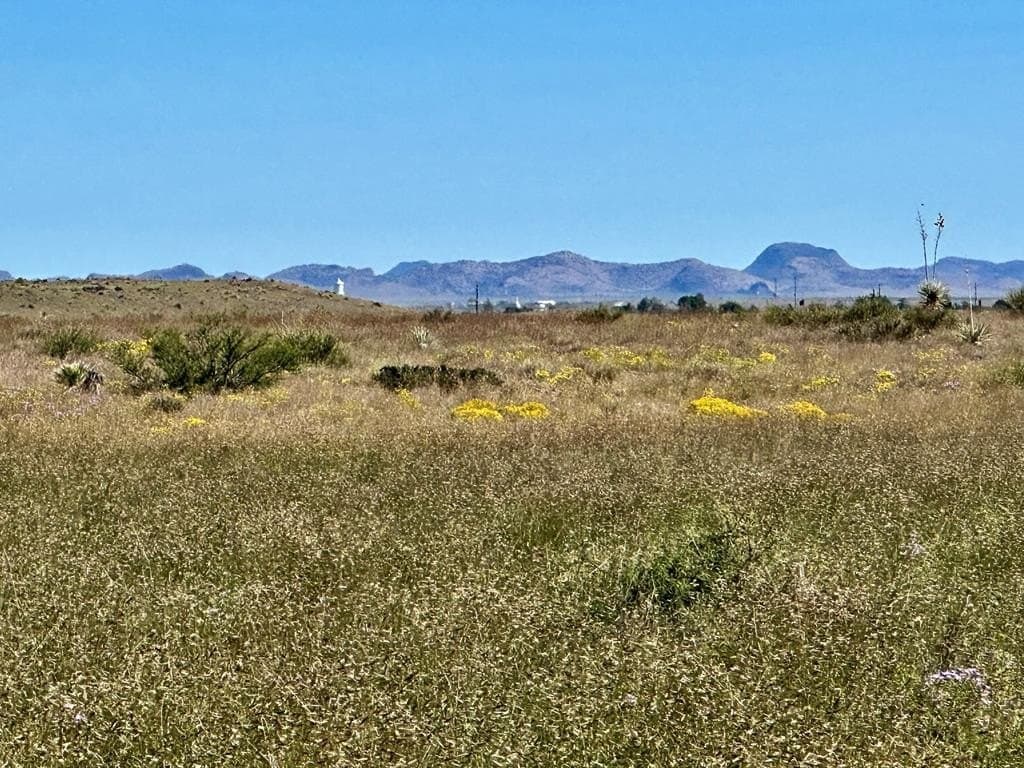 119 acres in Presidio County