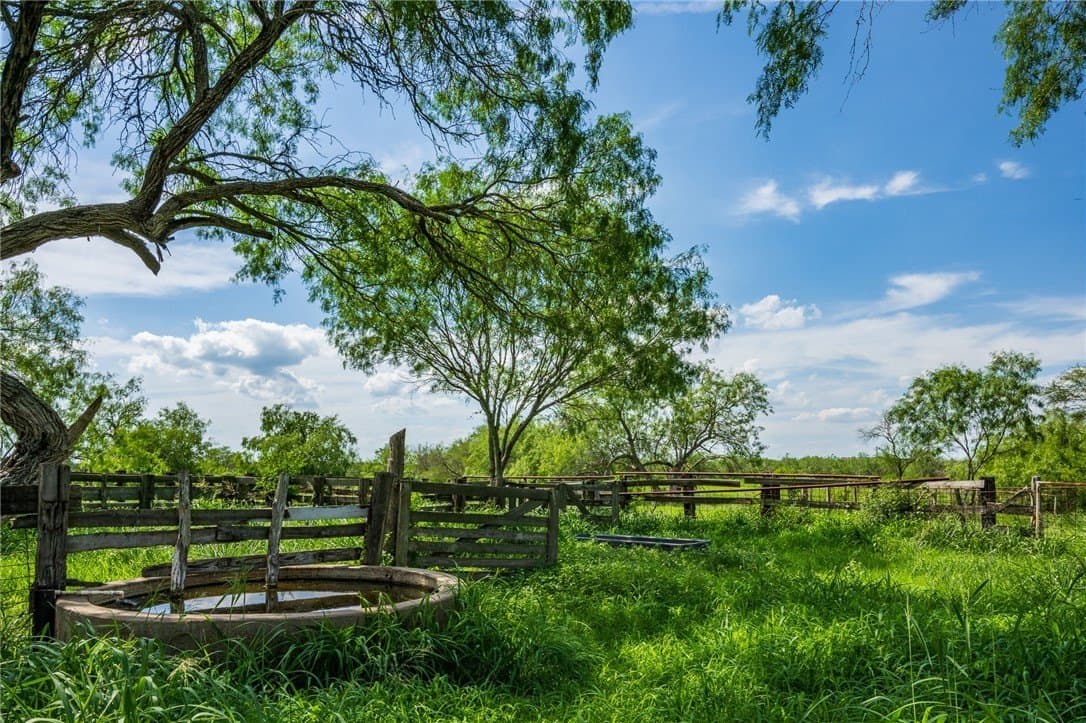 75 acres in Brooks County