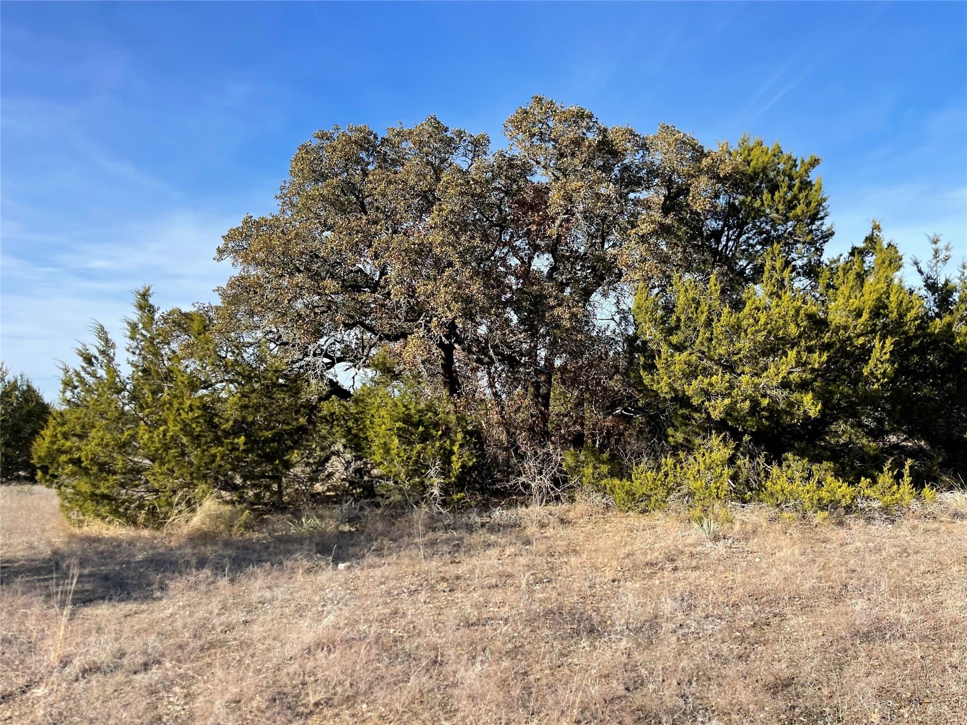 69.12 acres in Hamilton County