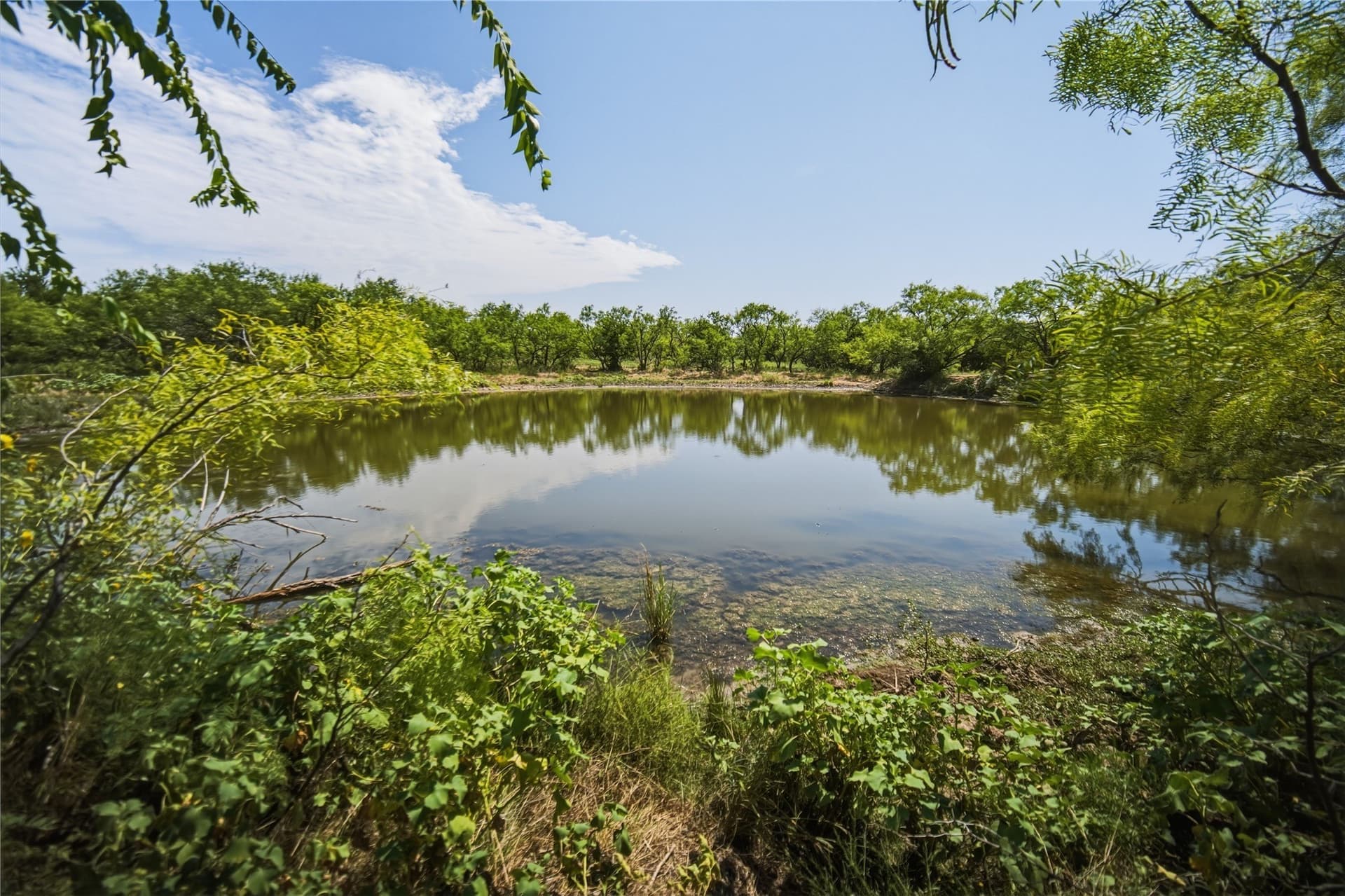 480 acres in Jack County