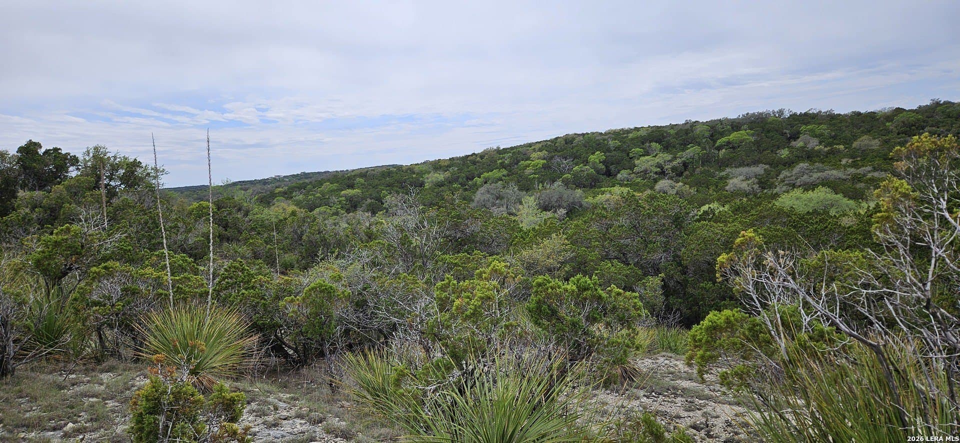 76.43 acres in Bexar County