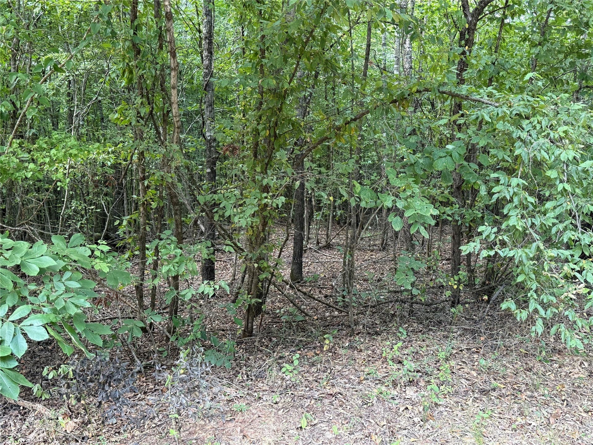 22.38 acres in Bowie County