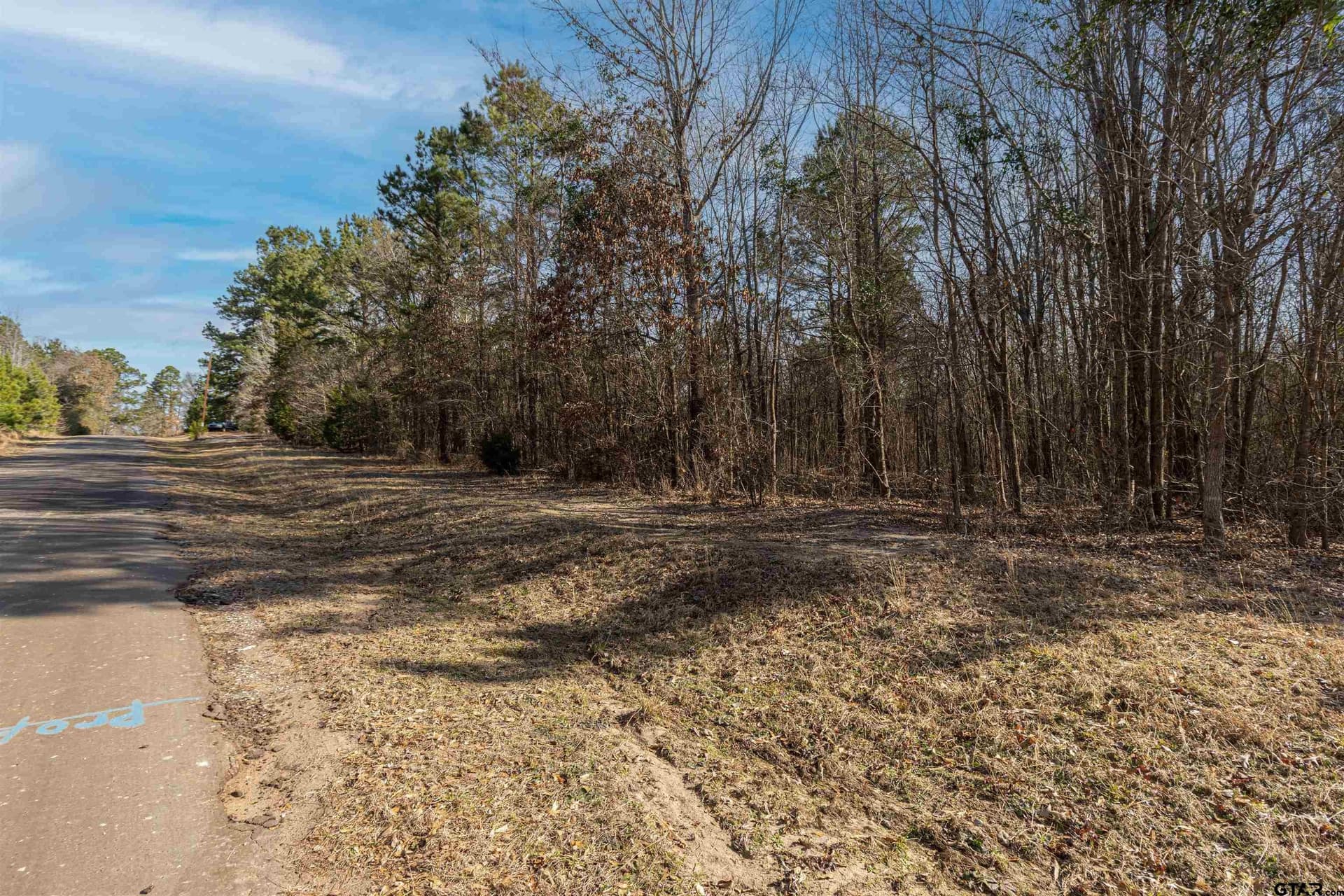 18.69 acres in Smith County